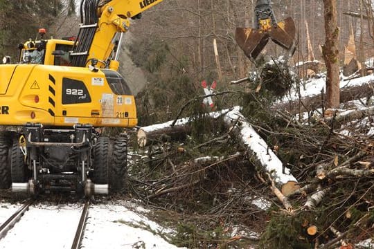 Schmalspurbahn beseitigt Schäden