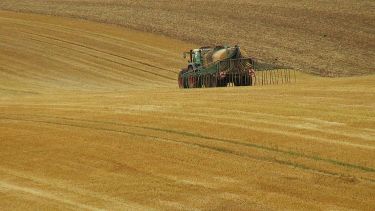 Traktor auf einem Getreidefeld (Symbolbild): Die EU ist selbst ein großer Lebensmittelproduzent. Doch der Bauernverband fürchtet im Frühjahr Ernteausfälle.