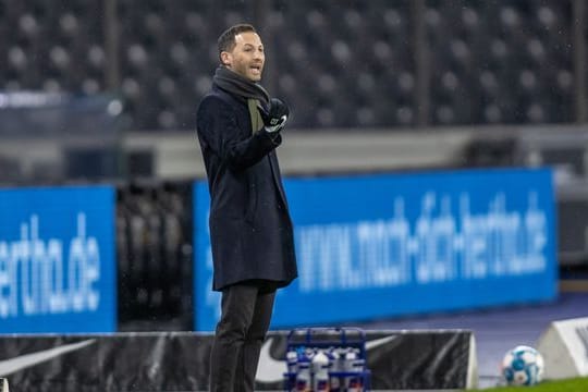 Domenico Tedesco kassierte als RB-Coach bislang nur zwei Niederlagen.