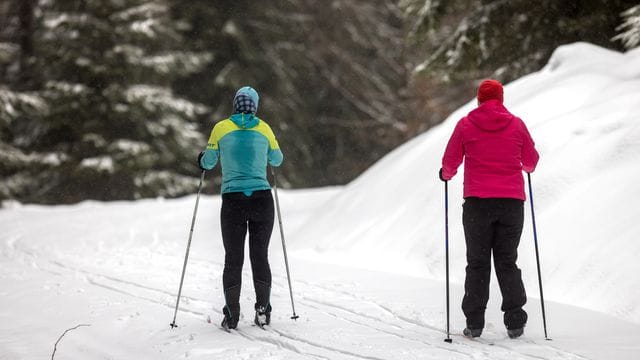 Winterwetter im Thüringer Wald