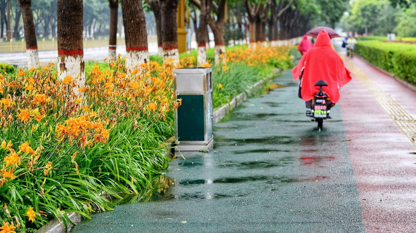 Ein Rad- und Fußweg mit durchlässigem Fahrbelag, umrahmt von breiten Grünstreifen in Shijiazhuang, China: In der Regenzeit kam es in der Stadt häufig zu Überschwemmungen. Seit 2015 ist das Problem gelöst, da mehr Grünanlagen und schwammartige Oberflächen das überschüssige Wasser schnell aufnehmen.