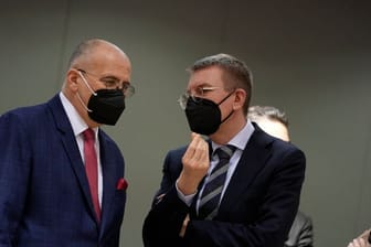Lettlands Außenminister Edgars Rinkevics (rechts) hatte nach einem Appell der Ukraine an Ausländer, freiwillig mitzukämpfen, das Parlament angerufen.