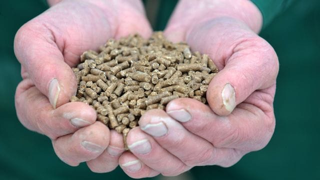 Steigende Futtermittelpreise Steigende Futtermittelpreise