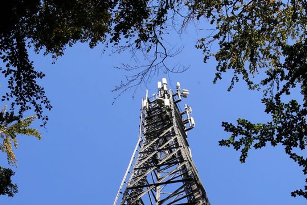 Ein Funkturm in einem Waldstück.