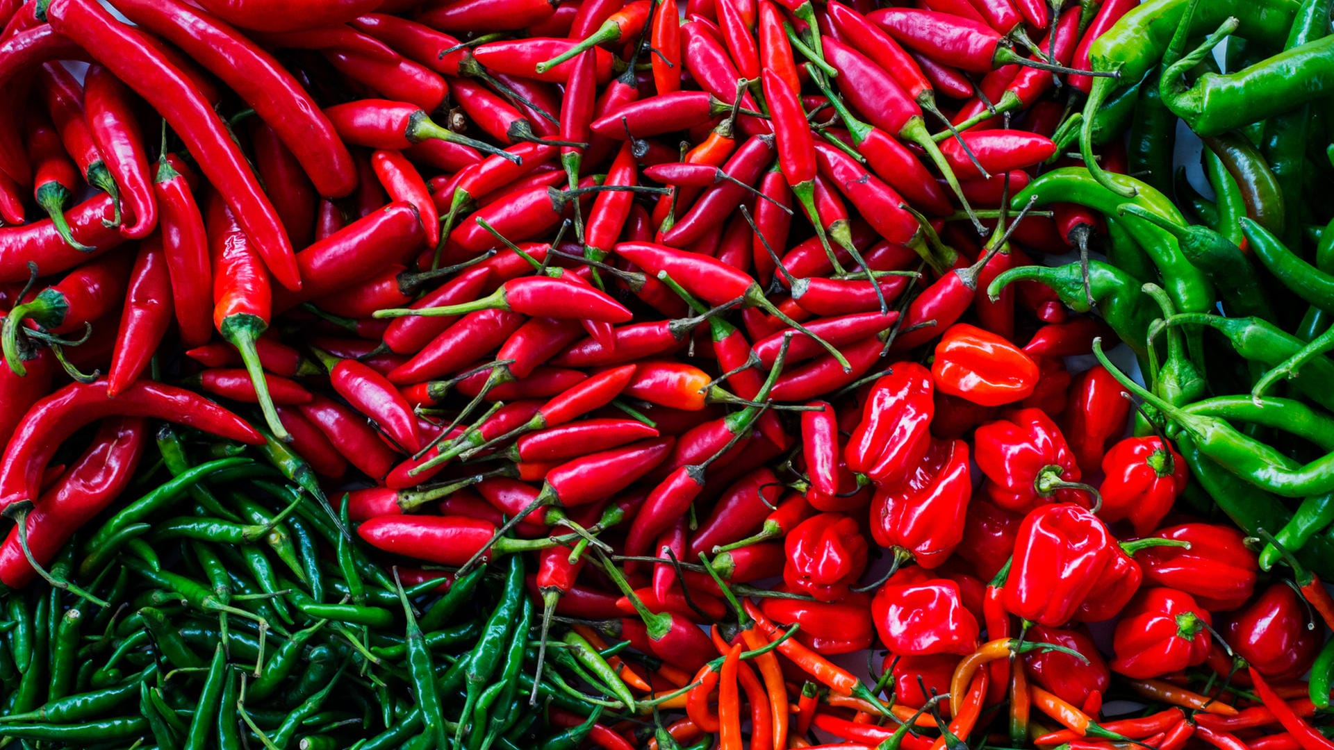 Es gibt Hunderte Chili-Sorten zu kaufen, von denen einige so scharf sind, dass ihr Verzehr tödlich sein kann.