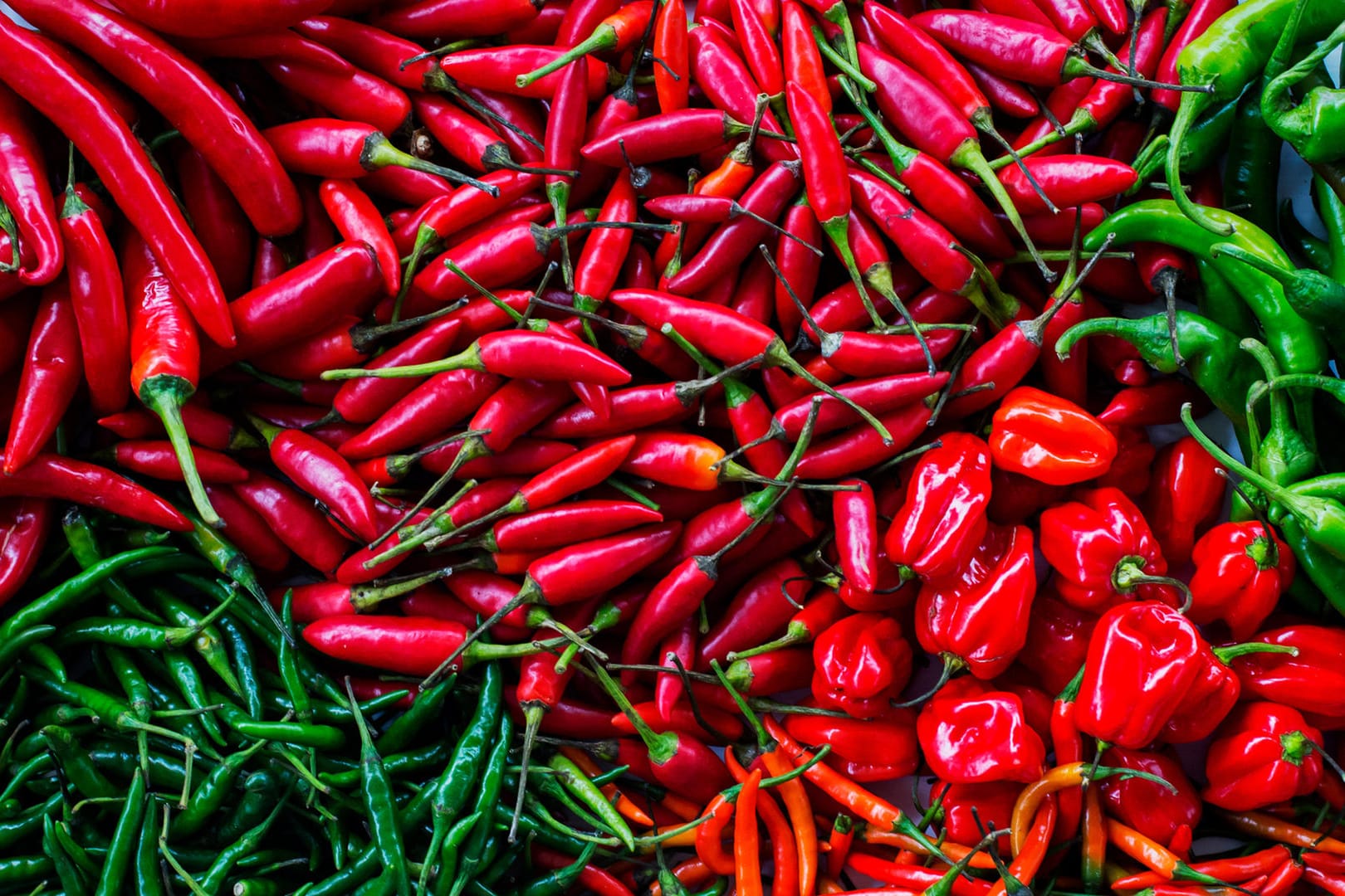 Es gibt Hunderte Chili-Sorten zu kaufen, von denen einige so scharf sind, dass ihr Verzehr tödlich sein kann.