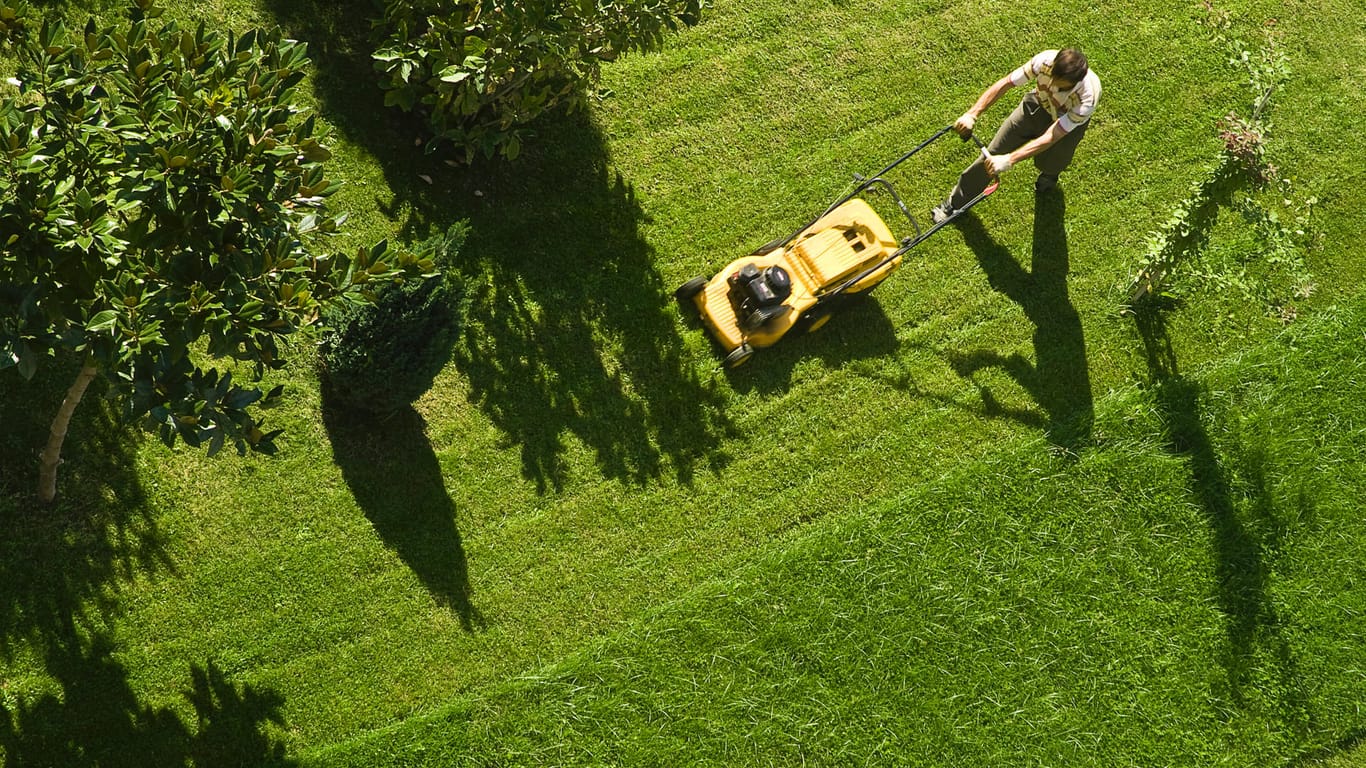Rasen mähen im Frühjahr Der richtige Zeitpunkt für die Rasenpflege