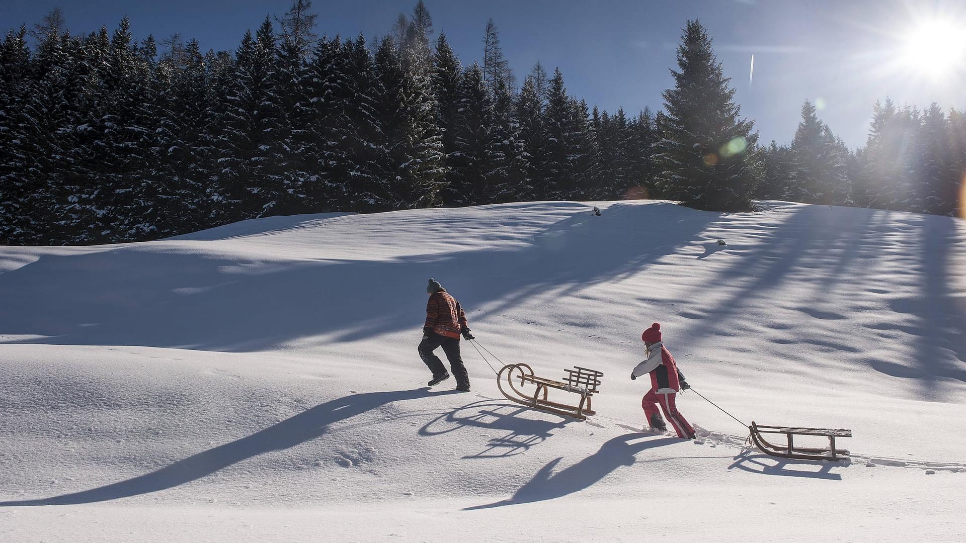 Schlitten im Schnee