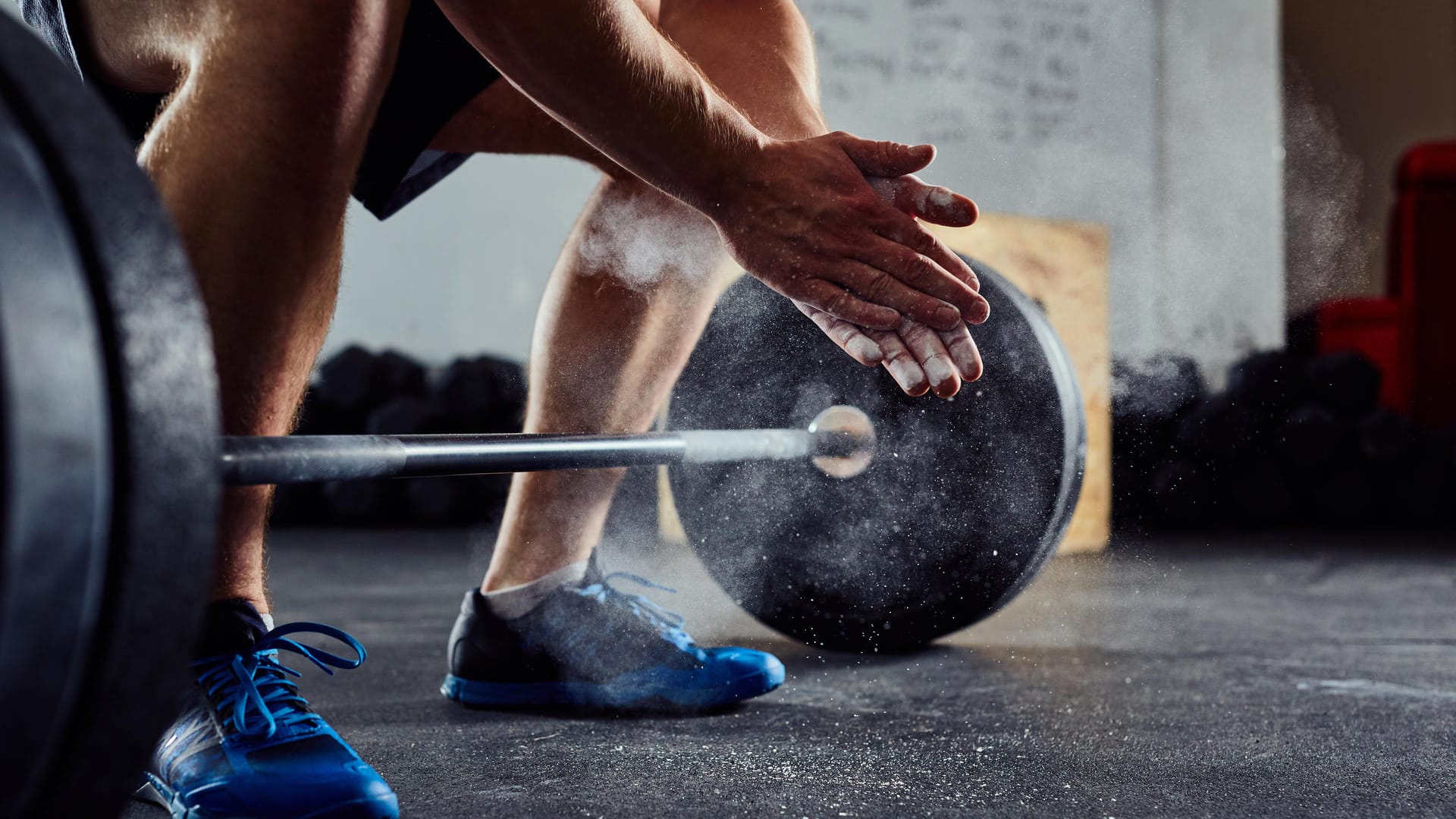 Hanteltraining: Kraftsport stärkt vor allem die Muskeln und erhöht so die Kraft des Sportlers.