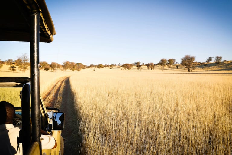 Safari in der Kalahari: Namibia war eines der ersten Länder in Afrika, die wieder von deutschen Reiseveranstaltern angeboten wurden.
