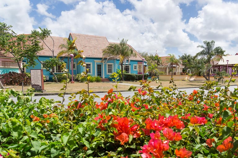 Blumenpracht in Bridgetown: Barbados ist eines der Länder in der Karibik, die nur geimpfte Touristen einreisen lassen.