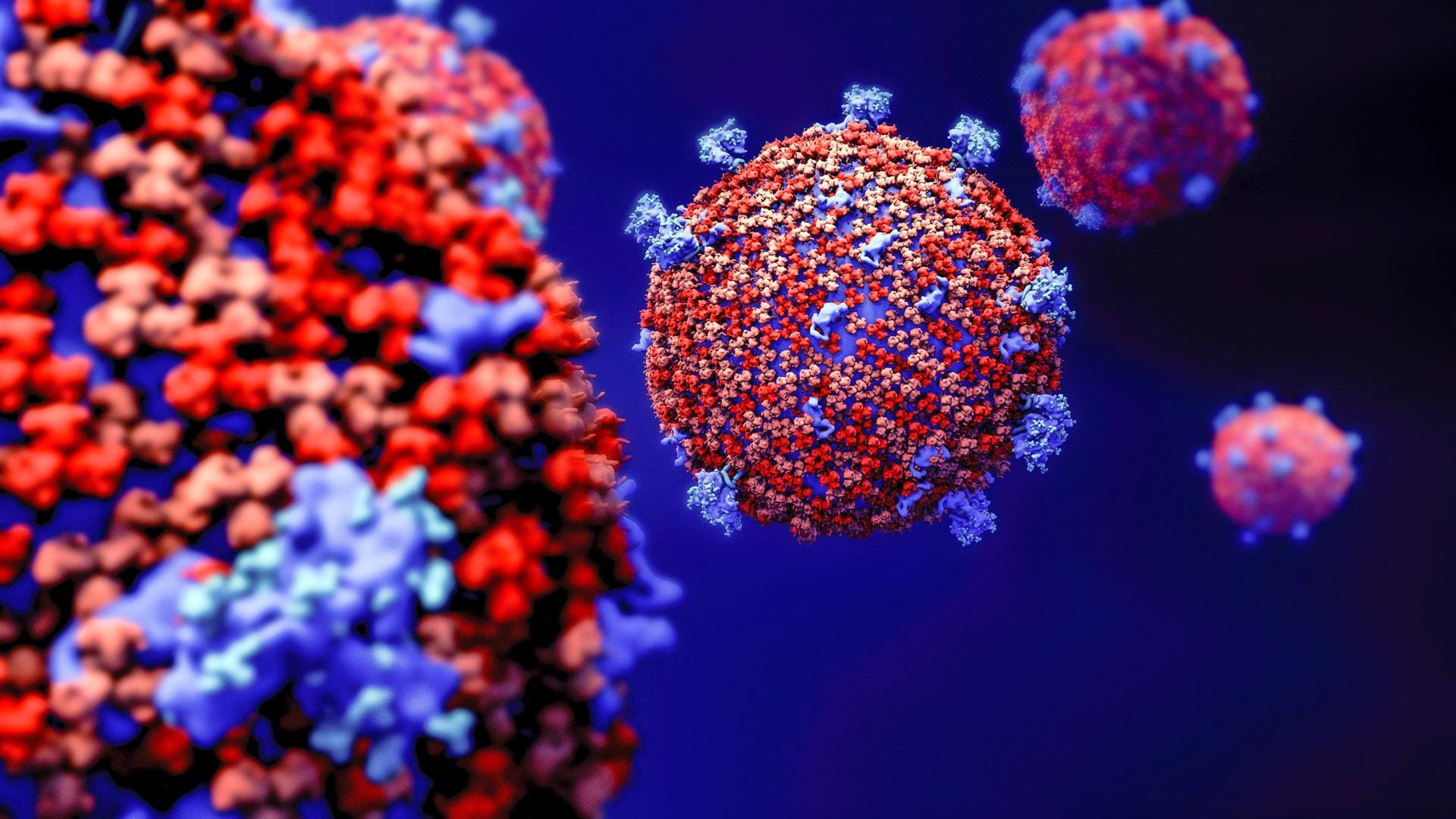 Illustration des Coronavirus (Symbolbild): Die Inzidenz steigt wieder leicht an.