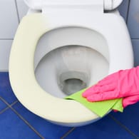 Toilette: Ein weißer Klositz wirkt hygienischer.