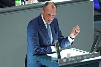 Friedrich Merz im Bundestag: "Niemand ist hier ohne Fehler und Versäumnisse in der Vergangenheit."
