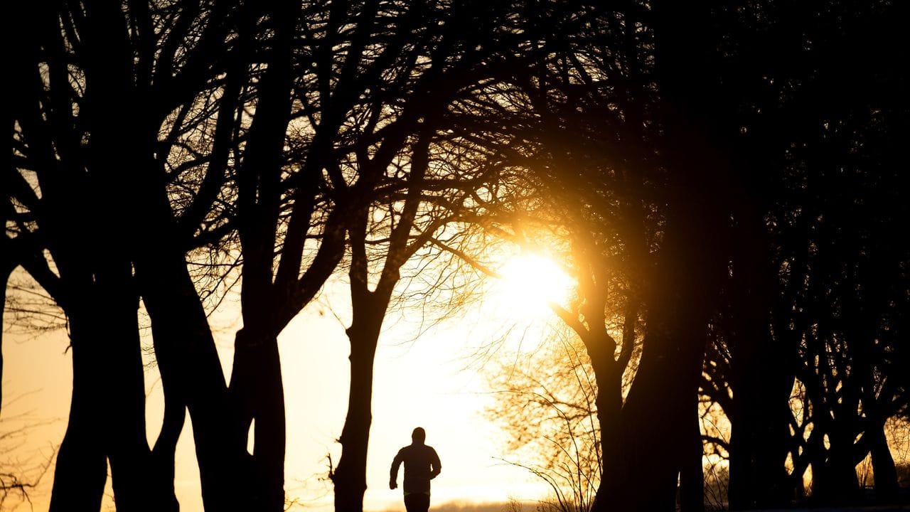 Der Sonne entgegen: Das Frühjahr ist für viele der Startschuss der Laufsaison.