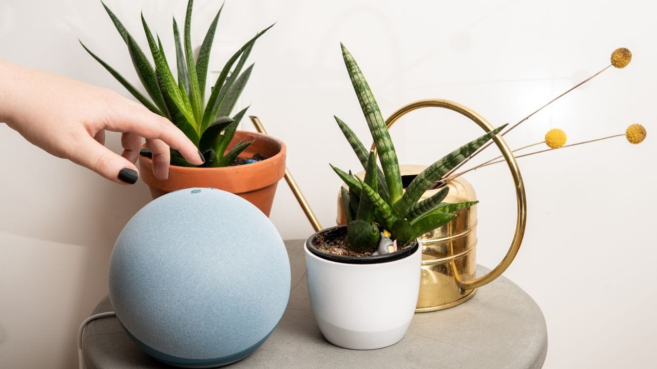 Was ist Lautsprecher und was Deko? Das lässt sich bei so reduzierten Speakern wie dem Echo von Amazon auf den ersten Blick schon mal verwechseln. Was ist Lautsprecher und was Deko? Das lässt sich bei so reduzierten Speakern wie dem Echo von Amazon auf den ersten Blick schon mal verwechseln.