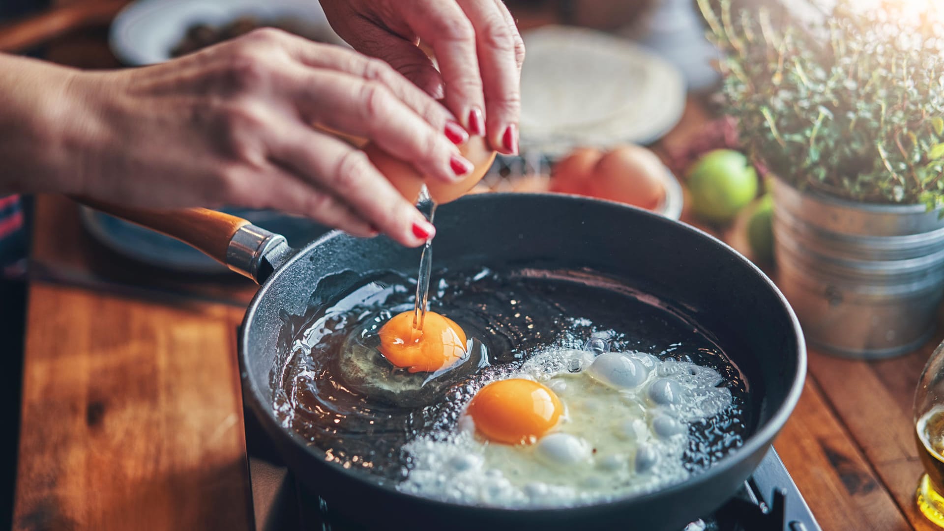 Eier: Durchschnittlich rund sieben Gramm Protein liefert ein Ei. Das meiste davon steckt übrigens im Eigelb.