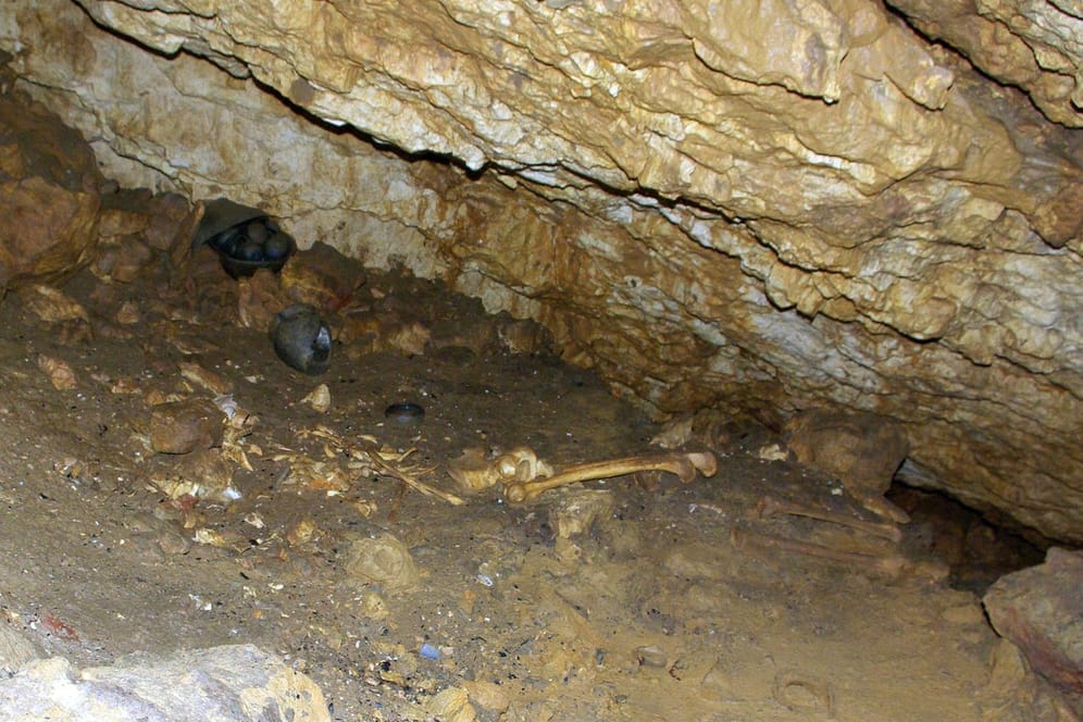 Menschliche und tierische Knochen: In Frankreich wurde ein Höhlensystem untersucht.