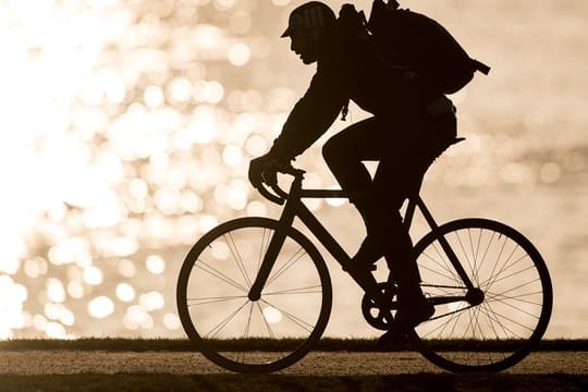 Radfahrer am Rhein