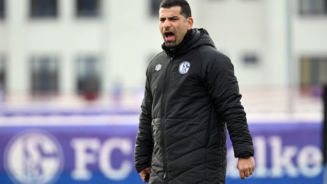 Der FC Schalke 04 trennt sich von Trainer Dimitrios Grammozis.