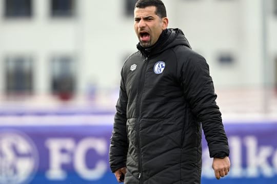 Der FC Schalke 04 trennt sich von Trainer Dimitrios Grammozis.