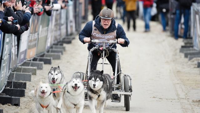 Schlittenhunderennen "Baltic Lights"