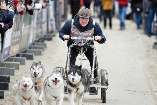 Schlittenhunderennen "Baltic Lights"