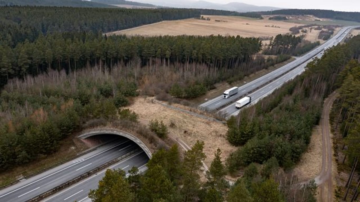 Wildbrücke über Autobahn