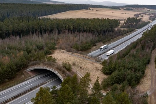 Wildbrücke über Autobahn