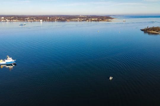 Geisternetze in der Ostsee