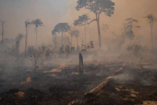 Rauch steigt während eines Brandes im Amazonas-Gebiet auf.