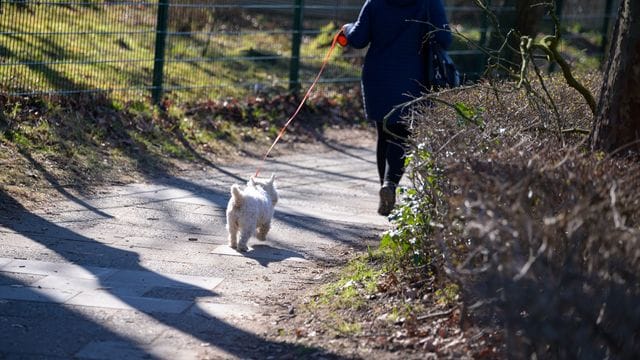 Ukraine-Konflikt - Flüchtlinge in Hamburg
