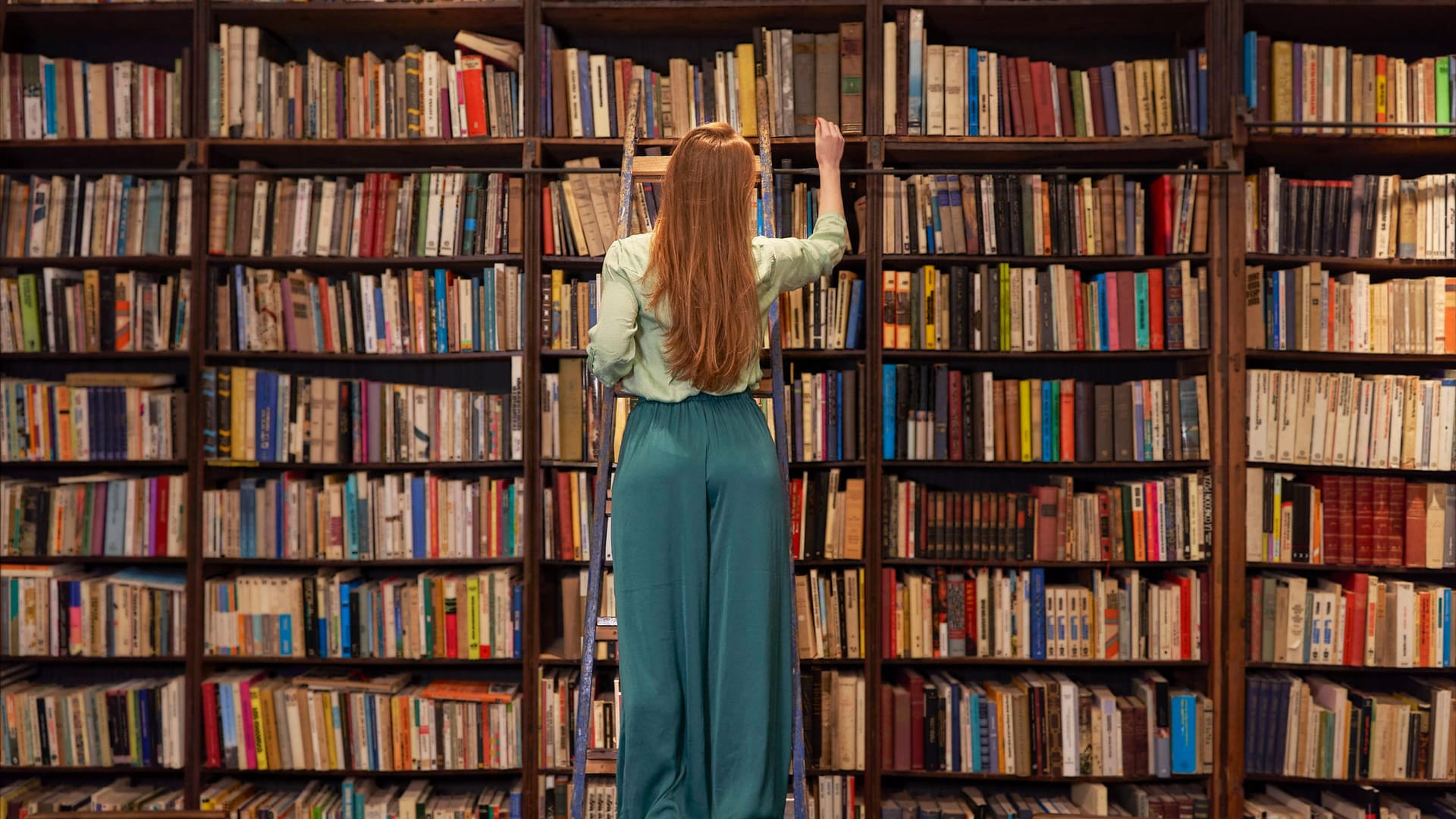 Bibliotheken (Symbolbild): Ist es nur eine Frage der Zeit, bis auch sie vermehrt in den Fokus von Radikalen geraten?