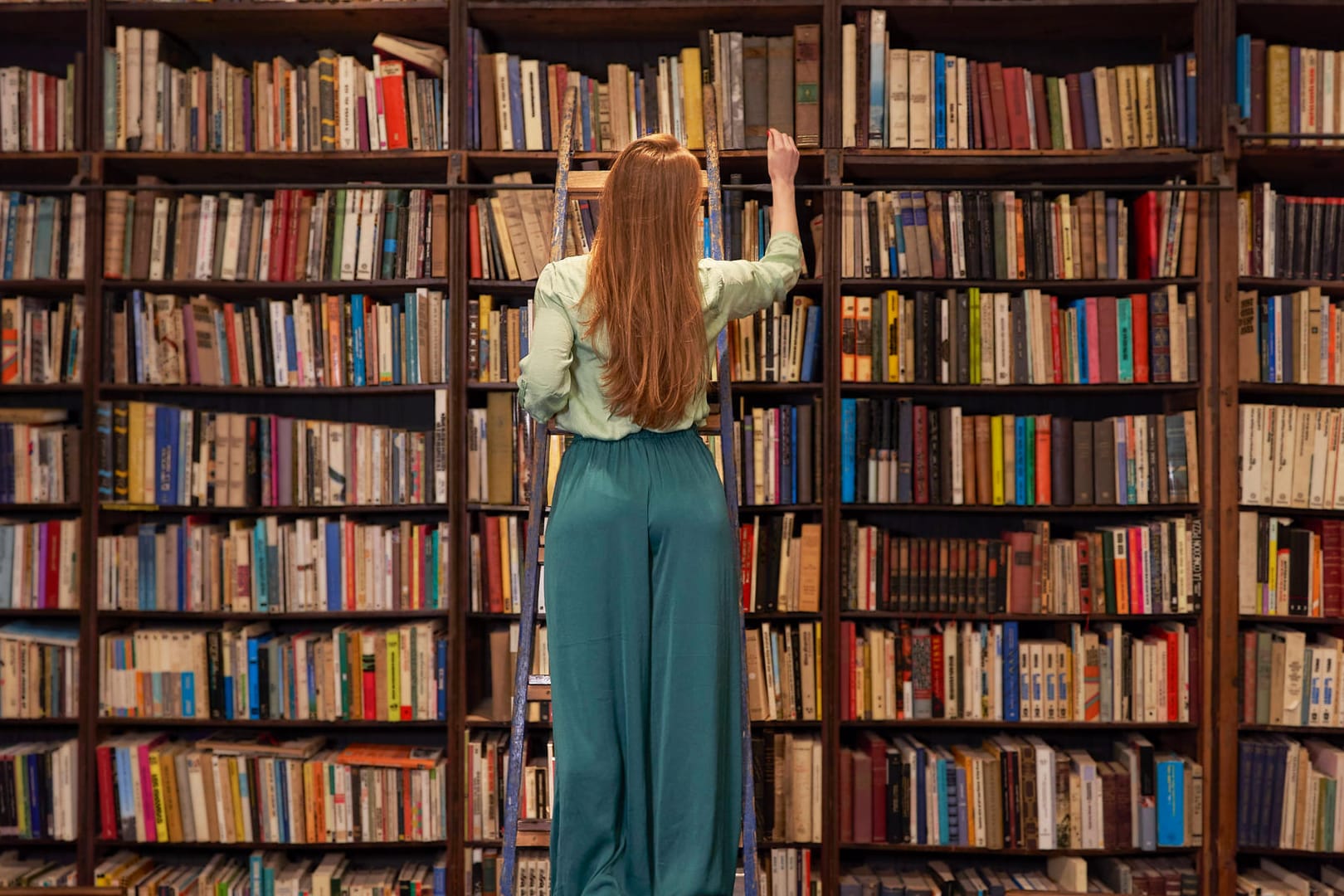 Bibliotheken (Symbolbild): Ist es nur eine Frage der Zeit, bis auch sie vermehrt in den Fokus von Radikalen geraten?