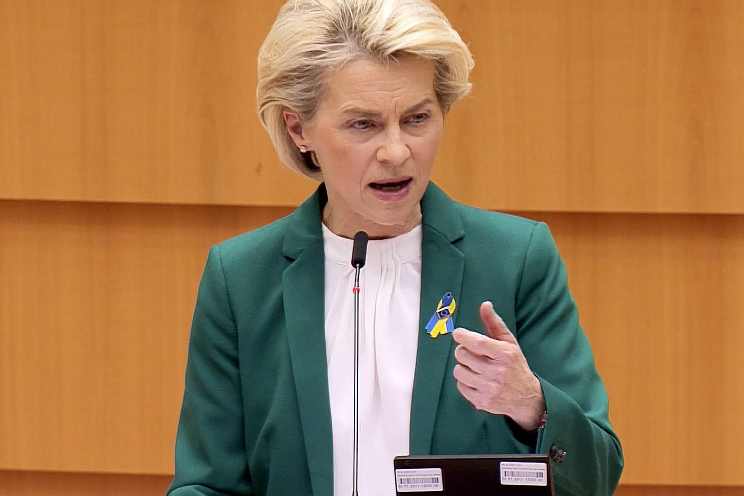 Ursula von der Leyen: Die EU-Kommissionschefin fordert die Bürger zum Stromsparen auf. Ursula von der Leyen: Die EU-Kommissionschefin fordert die Bürger zum Stromsparen auf.