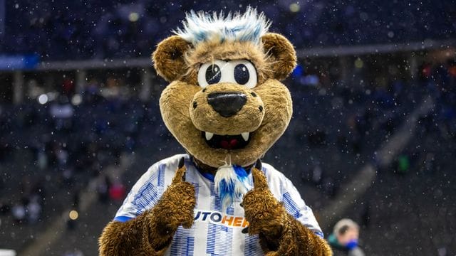 Hertha-Maskottchen Herthinho.