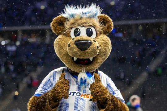Hertha-Maskottchen Herthinho.