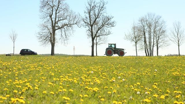 Trügerische Idylle: Beim Überholmanövern kann es zu schweren Unfällen kommen.