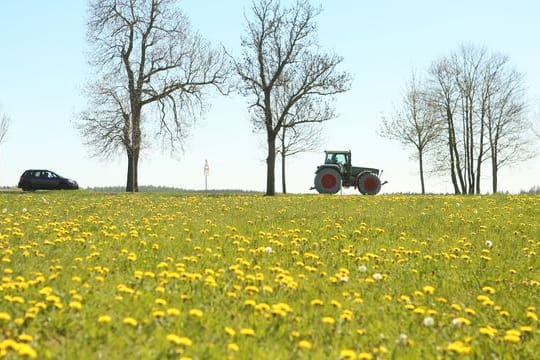 Trügerische Idylle: Beim Überholmanövern kann es zu schweren Unfällen kommen.