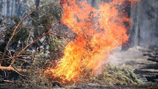 Waldbrand