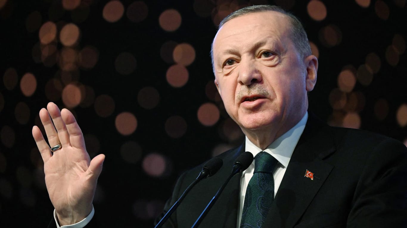 Recep Tayyip Erdoğan: Kann er helfen?