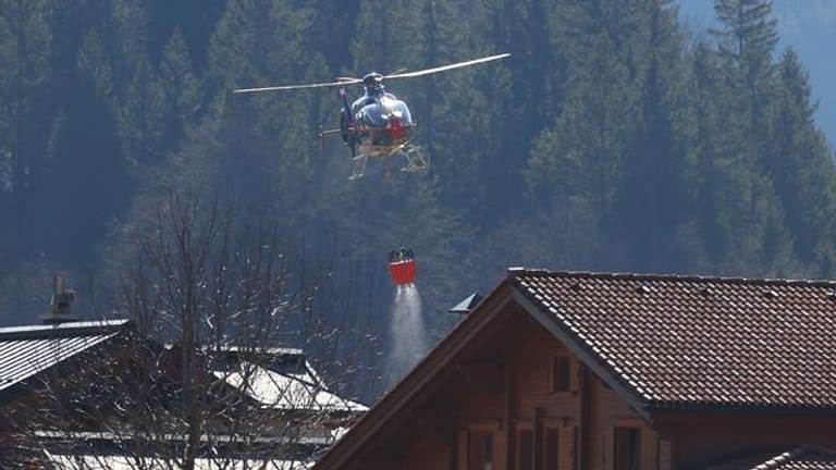 Waldbrand an deutsch-österreichischer Grenze