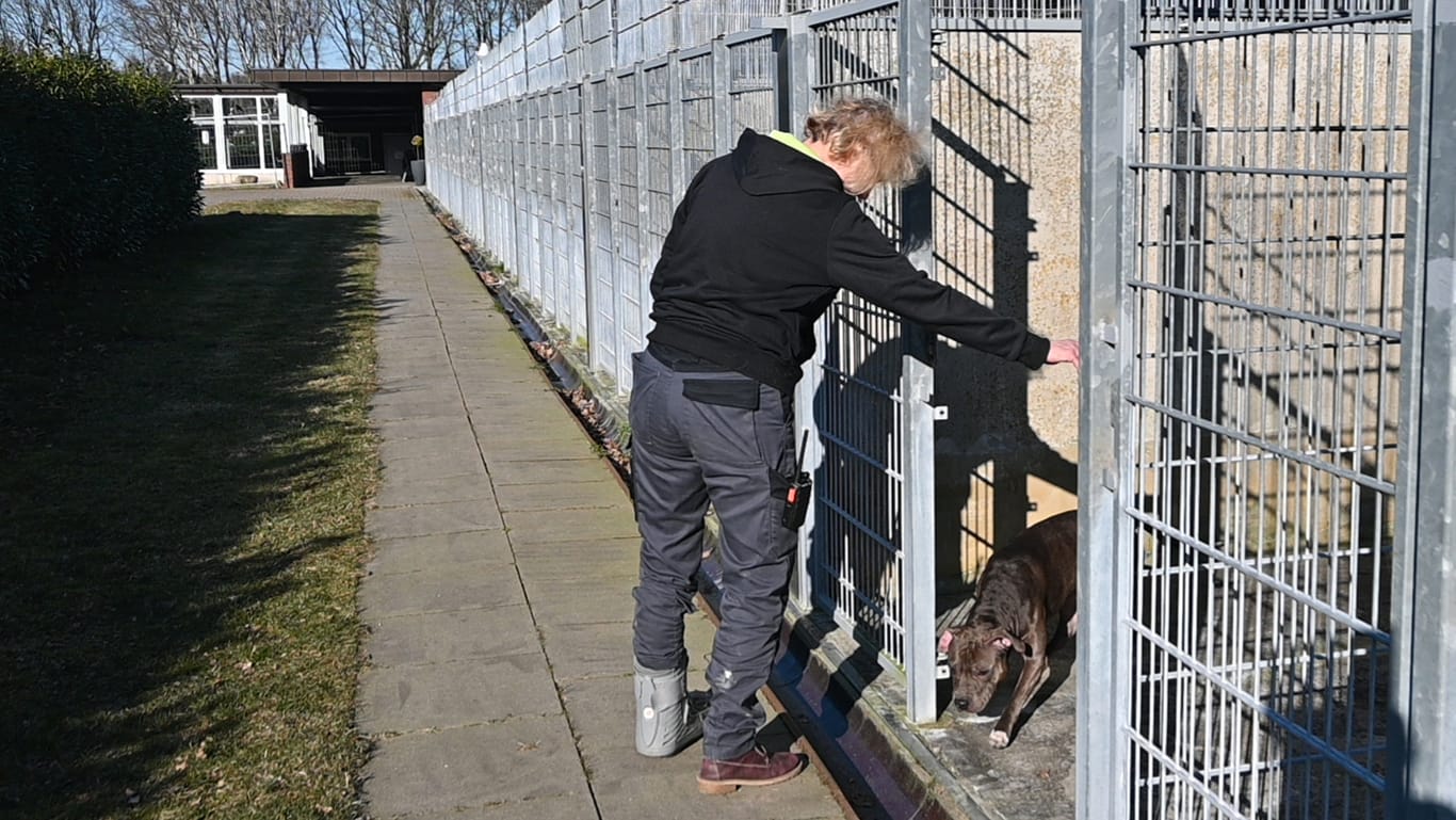 Bis zu 50 Hunde von geflüchteten Menschen kann Doris Firlus im ehemaligen LPT-Versuchslabor und heutigem Tierzentrum Neu Wulmstorf aufnehmen.