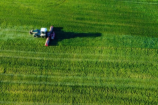 Landwirtschaft