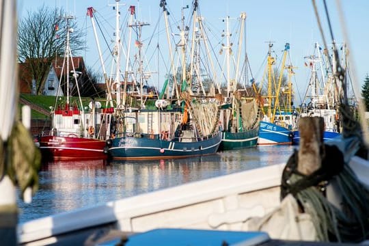 Krabbenkutter in Greetsiel