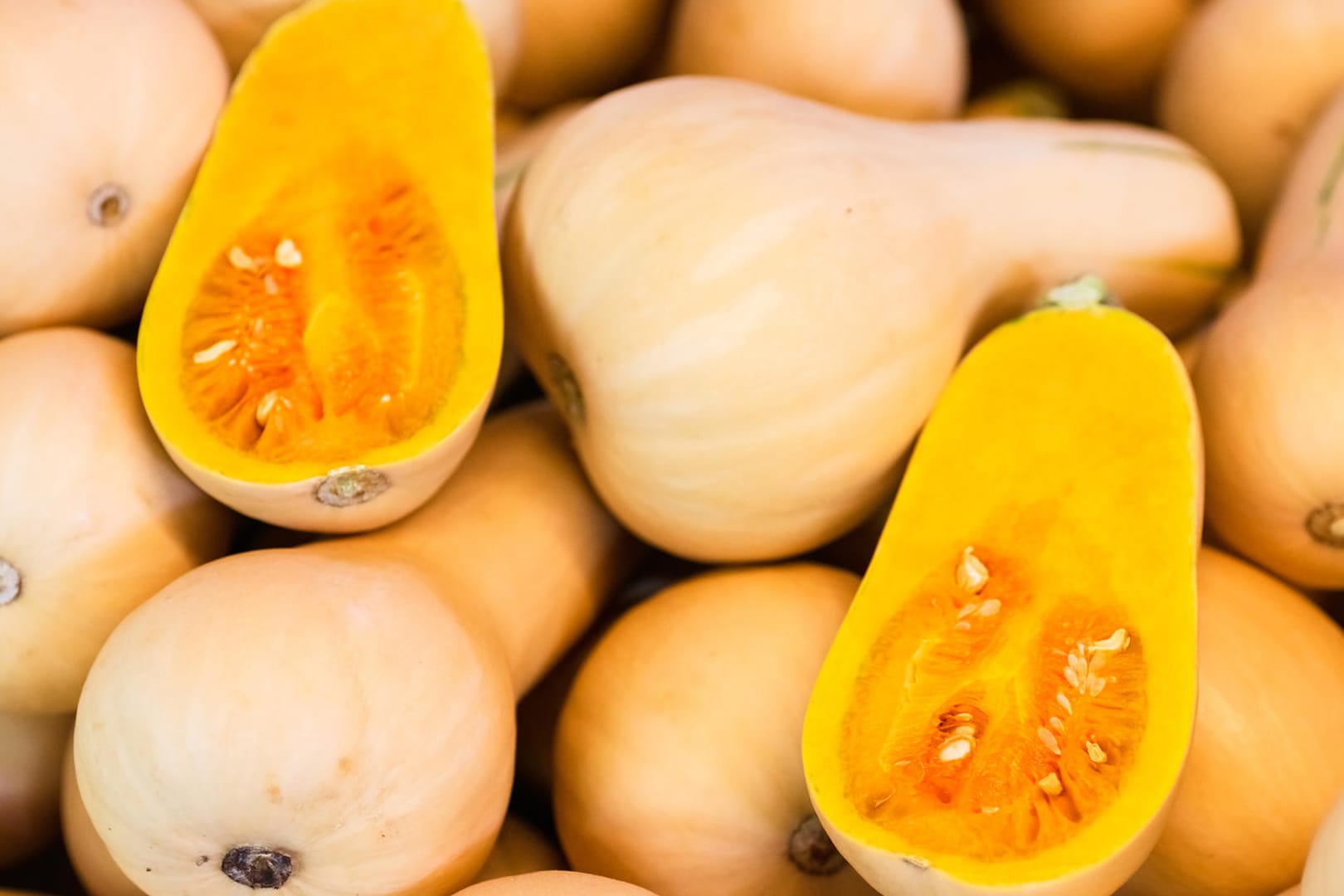 Butternut-Kürbis: Der Butternut ist birnenförmig und hat eine karamellfarbene Schale. In ihm steckt viel Fruchtfleisch, denn seine Kerne sitzen nur im unteren Bereich.