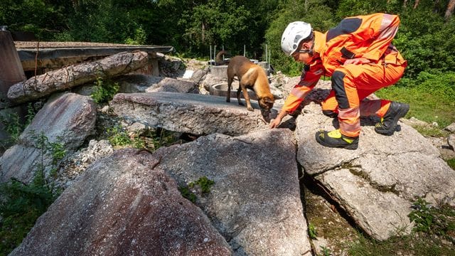 Rettungshundestaffel beim Katastrophenschutz