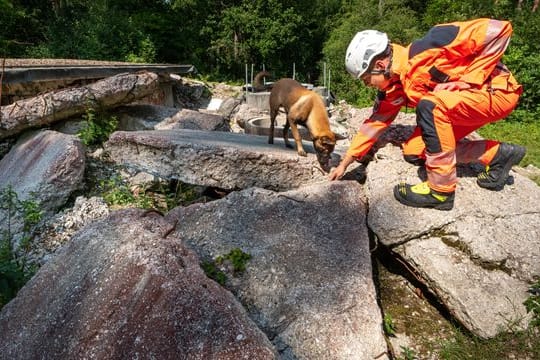 Rettungshundestaffel beim Katastrophenschutz