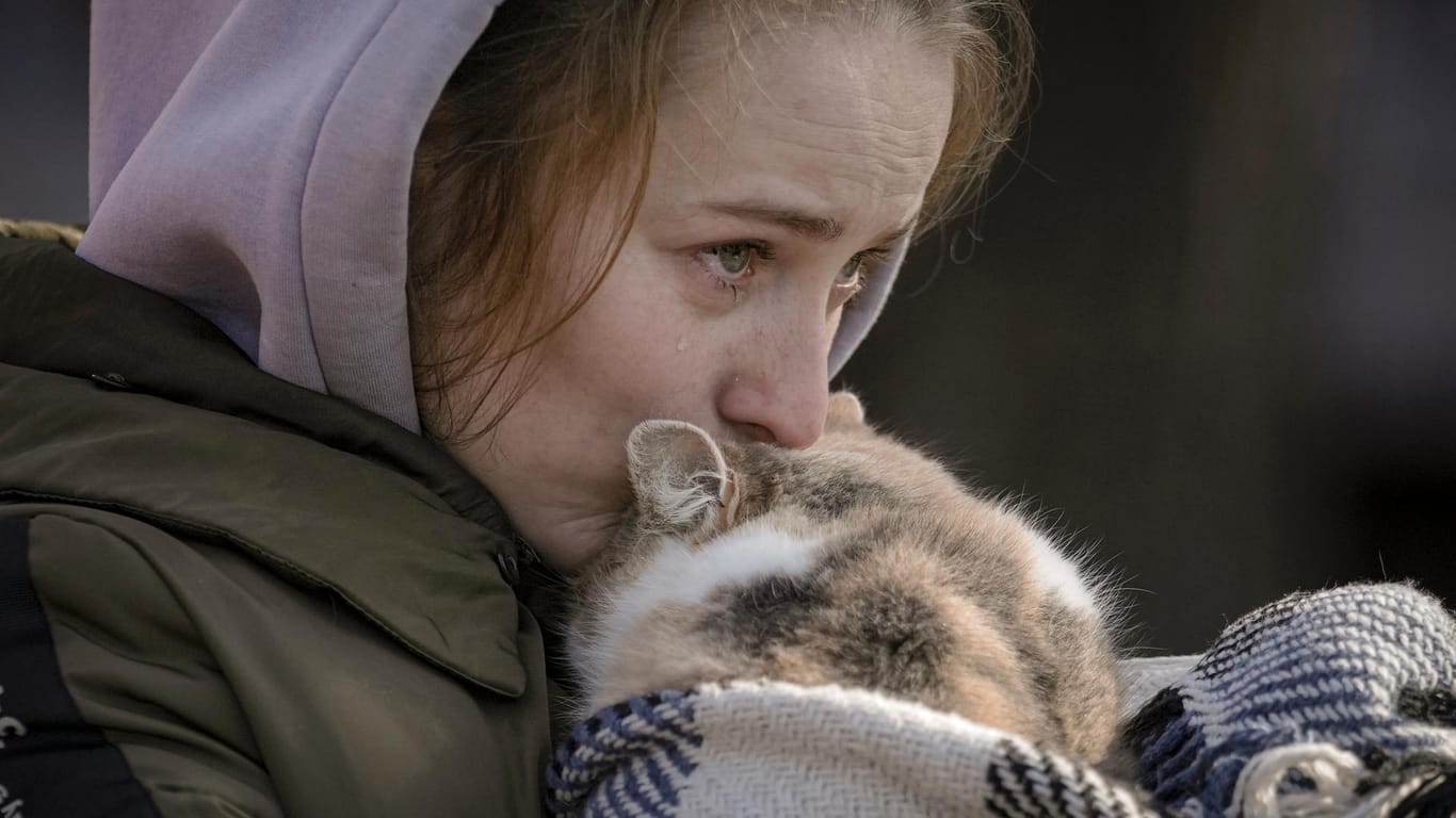 Eine Frau, die aus Irpin evakuiert wurde, weint und küsst eine in eine Decke eingewickelte Katze (Archivbild): Viele Flüchtende nehmen ihre Haustiere mit nach Deutschland.