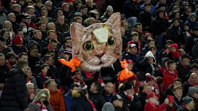 Ein Zuschauer spielt mit aufblasbaren Katzen und dem Text "Kick me" auf das Video von Kurt Zouma an. Ein Zuschauer spielt mit aufblasbaren Katzen und dem Text "Kick me" auf das Video von Kurt Zouma an.